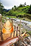 Primative yet usefull tools for making sago, a staple food in Papua New Guinea and Indonesia