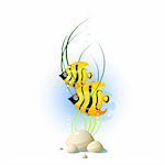 2 swimming fishes, stones, bubbles, sea grass, isolated on white, vector, eps 8 format