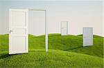 3D rendering of a grass field with three doors
