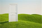 3D rendering of a grass field with a door