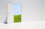 3D rendering of a door with a grass field behind it.