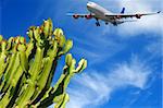 Plane is about to land at a tropical destination. The plant is in blure the plane is in focus.