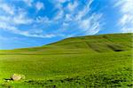 Landscape of green grass and blue sky with clouds