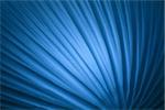 Abstract blue background with curved lines