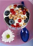 Three yogurt in the glass with fruits and cereal
