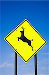 Road sign deer crossing, USA