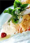 vanilla ice-cream with a fresh apple strudel and mint leaves