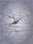 3d rendered illustration of some nerve cells