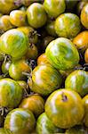 Pile of Yellow and Green Striped Tomatoes