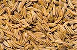 A close-up of a lot of caraway seeds