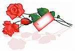 Roses bouquet and love letter. Vector. Easy to edit and modify. EPS file included.