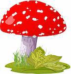 Fly agaric in a grass. Vector Illustration