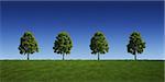 3d rendering of a green field 4 tree on a row