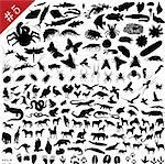 # 5 set of  different animals, birds, insects and fishes  vector silhouettes