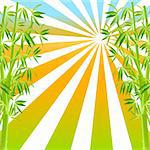 vector illustration of bamboo on sunny background