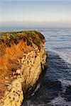 A California coast cliff at sunset with the Pacific Ocean in background and fog on the horizon.