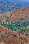 The autumn colors in the national park