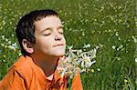 Boy smelling flowers in the meadow