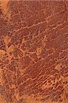 macro image of old red tattered torned leather background