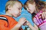 two kids blowing dandelion seeds together wishing