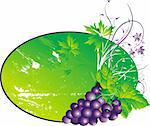 The stylised cluster of grapes with leaves on an abstract background