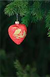 Heart shape christmas-tree decoration on green coniferous tree