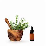 Rosemary herb leaves in an olive wood mortar with pestle and aromatherapy essential oil glass dropper bottle, over white background.