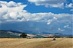 Plowing a field under dark dramatic sky