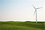 3d rendering of a wind turbine on a green grass field