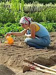 woman watering vegetable bed for sowing seeds