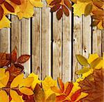 Collage - grunge autumn background