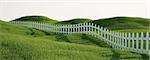 3d rendering of a grass field with a white picket fence