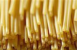 spaghetti macro image at studio with selective focus