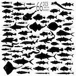 66 pieces of detailed vectoral fish silhouettes.