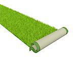 Conceptual image - carpet with bright green grass