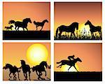Set of horse silhouette on sunset background. Vector illustration.