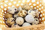 Close-up of  quail eggs in the basket on white