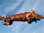 the just roasted pig on a spit