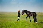 horsewoman trains the horse / summer