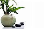 Stylish ceramic pot with bamboo leafs and stones