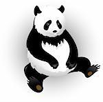 Vectors panda. Isolated on white. EPS 8, AI