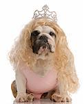 english bulldog dressed up as princess with ugly wig and tutu