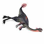 dangerous dinosaur gigantoraptor. 3D render with clipping path and shadow over white