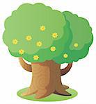 a big tree with yellow flower isolate in a white background