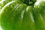 One green macro tomato, wet skin, studio shot