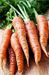 Bunch of whole fresh organic orange carrots