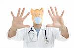Doctor with pig mask as a swine flu metaphor, isolated on white