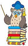 Wise owl teacher on books - vector illustration.