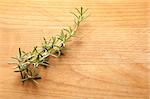 Rosemary Sprig on Cutting Board