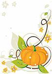 Grunge background with pumpkin and flowers. Vector illustration.